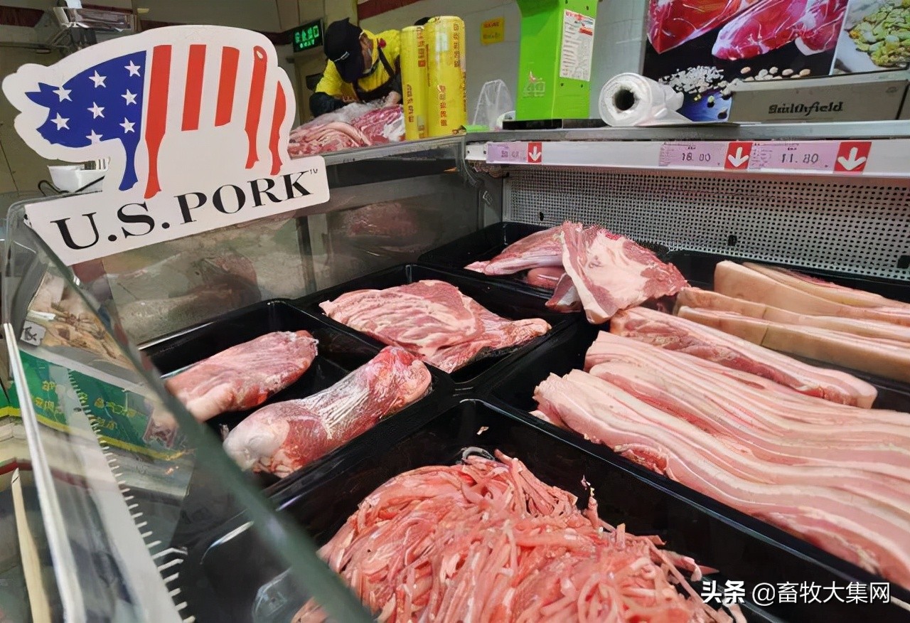 国内猪肉已经比进口肉便宜，为何7月猪肉进口量不降反增？
