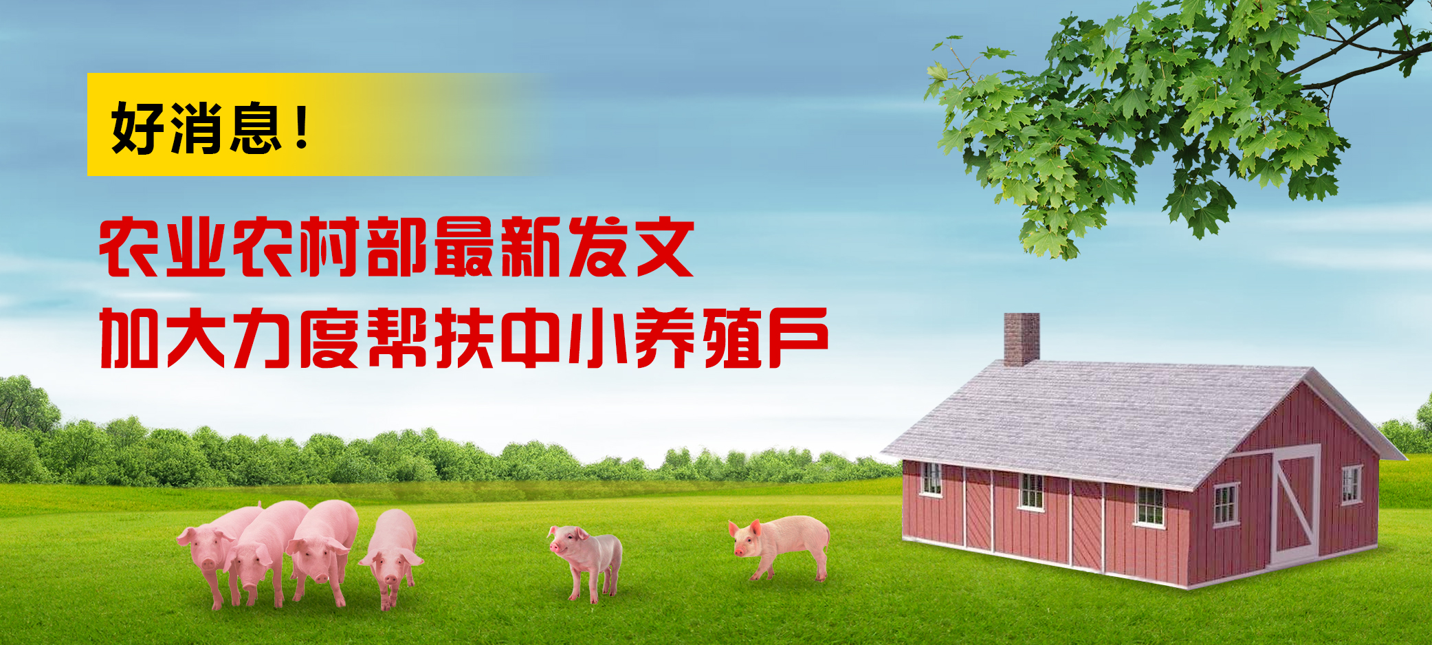 好消息！农业农村部最新发文，加大力度帮扶中小养殖户！