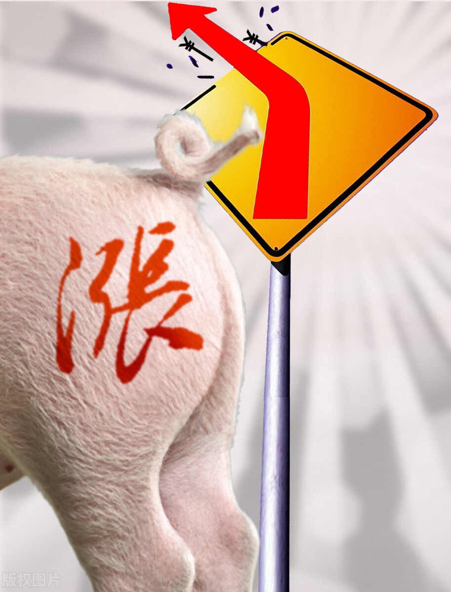 2021年：又成灾年了？猪价、肉价大变！养猪人一定要警惕这三个风险！