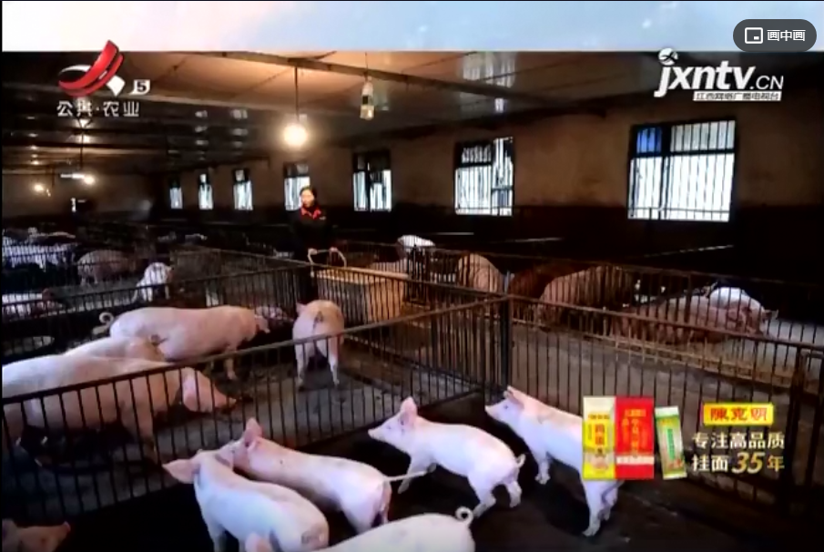 江西加快产业转型升级，全省生猪产能持续扩大