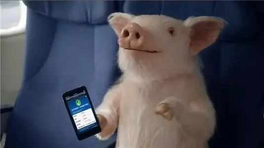 电子化养猪