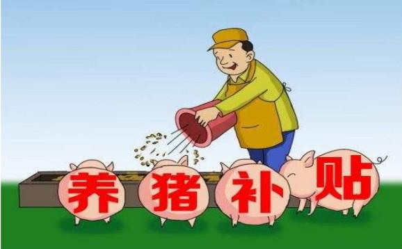 今日猪价：猪业全面亏损，养殖户在苦苦煎熬，养猪补贴即将下发？