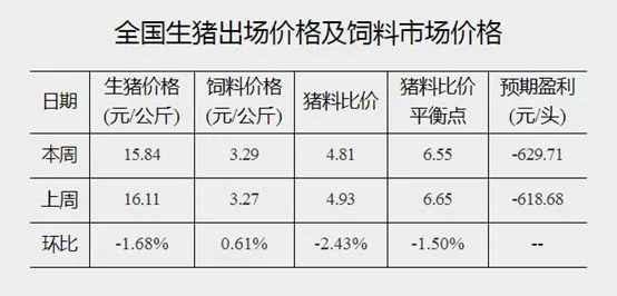 养猪连亏14周