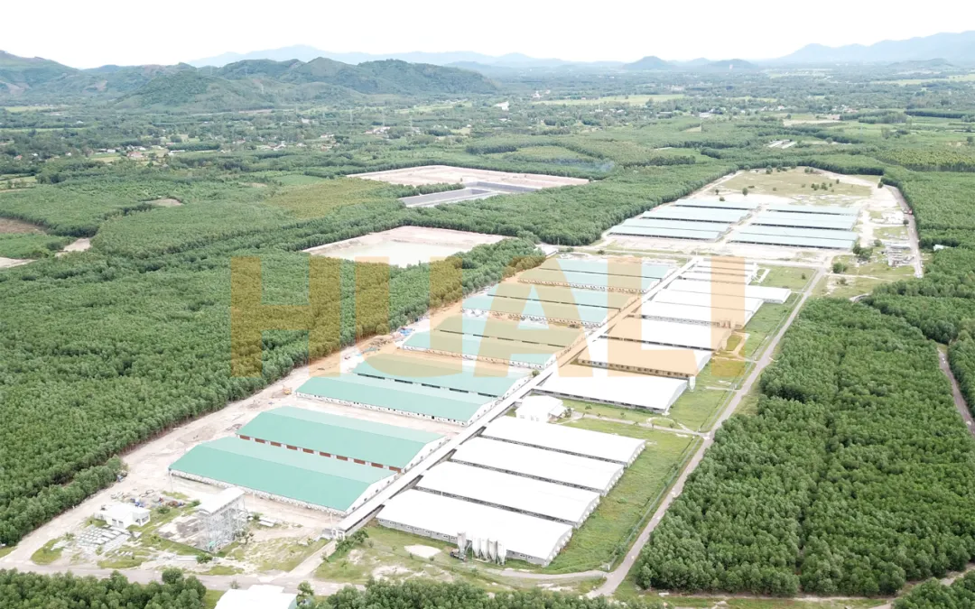 好消息！华丽科技助力越南6000头母猪场项目顺利验收
