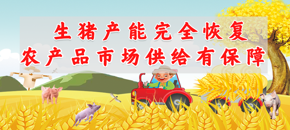 生猪产能恢复猪价近期下跌非常快，官方喊话，希望大家多吃猪肉多买猪肉！