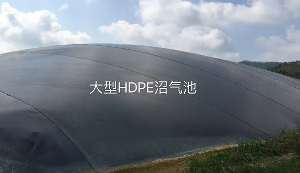 安徽一养猪场采取种养结合的生产模式，粪污就近利用，肥田固碳效果好