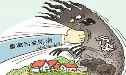 畜禽污染