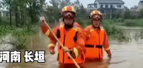 暴雨淹没养猪场，消防员紧急转移，小猪全身上下都在表示：我拒绝