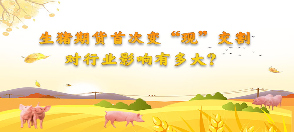 生猪期货首个挂牌合约LH2109进入交割月，当日大商所完成交割配对4手
