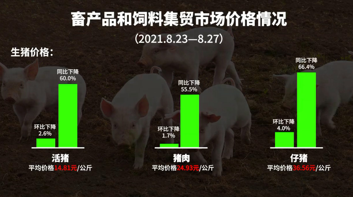 8月份第4周生猪、鸡蛋、豆粕价格下降 活鸡、白条鸡、牛肉价格上涨
