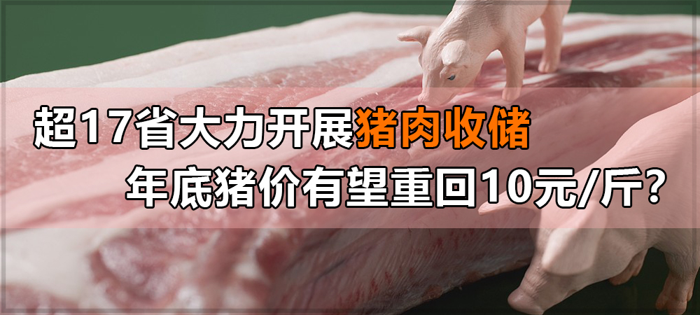 超17省大力开展猪肉收储，国家全力托市！年底猪价有望重回10元/斤？