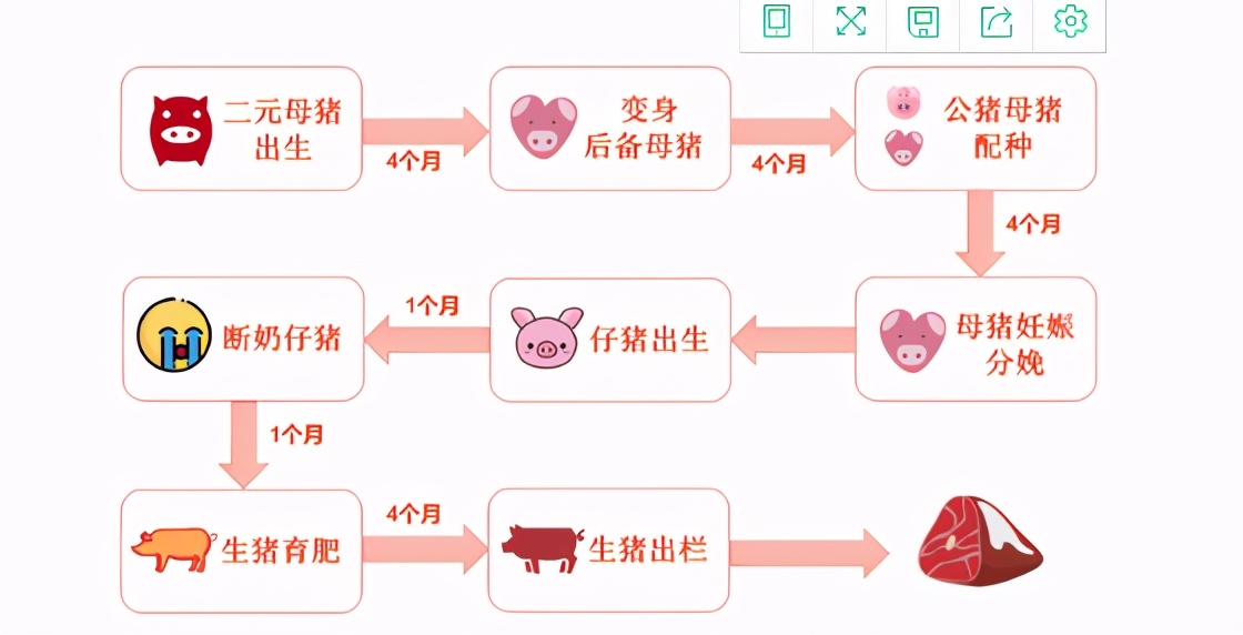 9月9日15公斤仔猪价格：猪价被吞没，仔猪“出逃”机会在哪？
