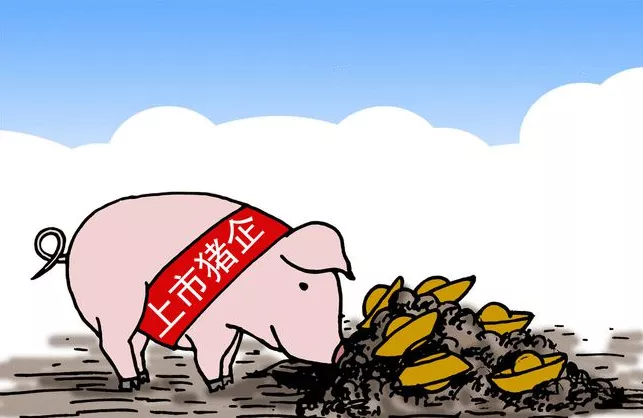 五大猪企8月生猪出栏出奇招，养殖巨头加码食品赛道！