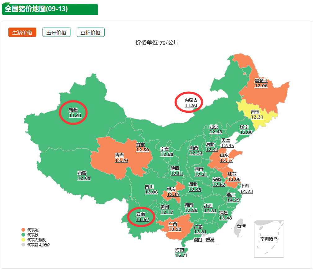 9月13日生猪价格：猪价下跌难止！猪周期的低谷风暴已来临？