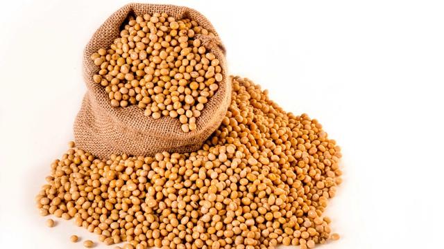 需求旺季能否持续支撑豆粕价格上涨？