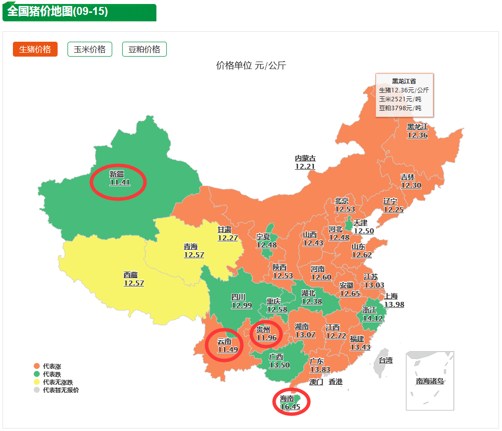 9月15日生猪价格：猪价下跌终迎翻转！但这波上涨又能挺多久？