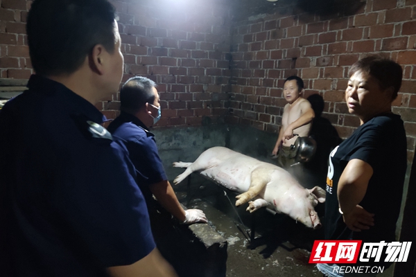 岳阳开展中心城区生猪屠宰和肉类市场整治 现场收缴私宰猪肉千余斤