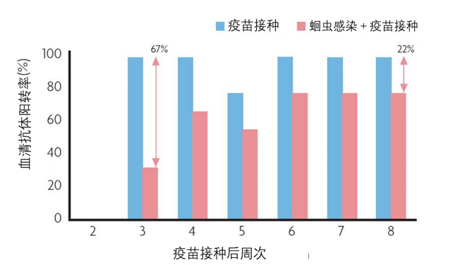 蛔虫防控原理与驱虫策略