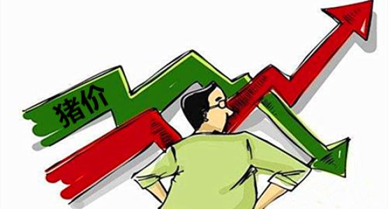 9月第2周全国仔猪平均价格32.71元/公斤，猪肉价格23.91元/公斤