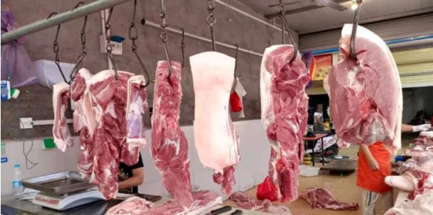 中心城区现10元内肉价！我市猪肉价格呈“批降零平”趋势