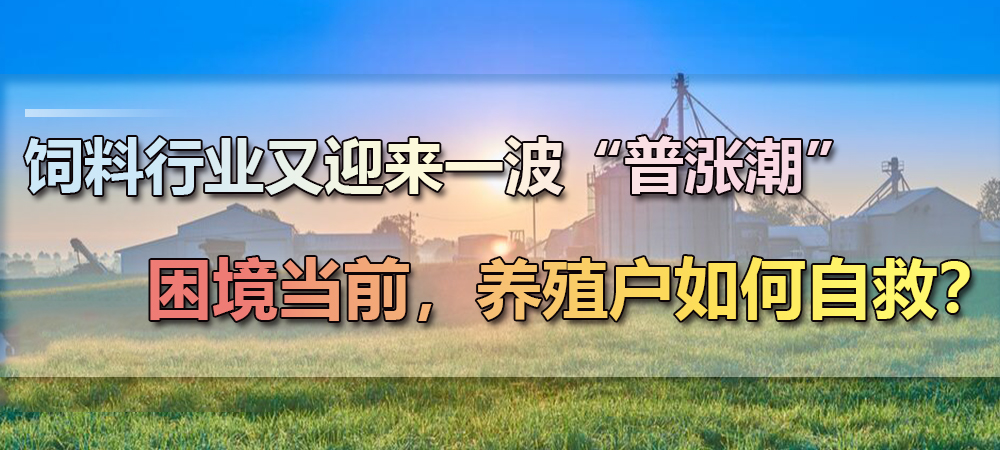 揪心！饲料进入“普涨潮”，猪市刮起“腊肉风”，猪价刚小涨又要大跌？