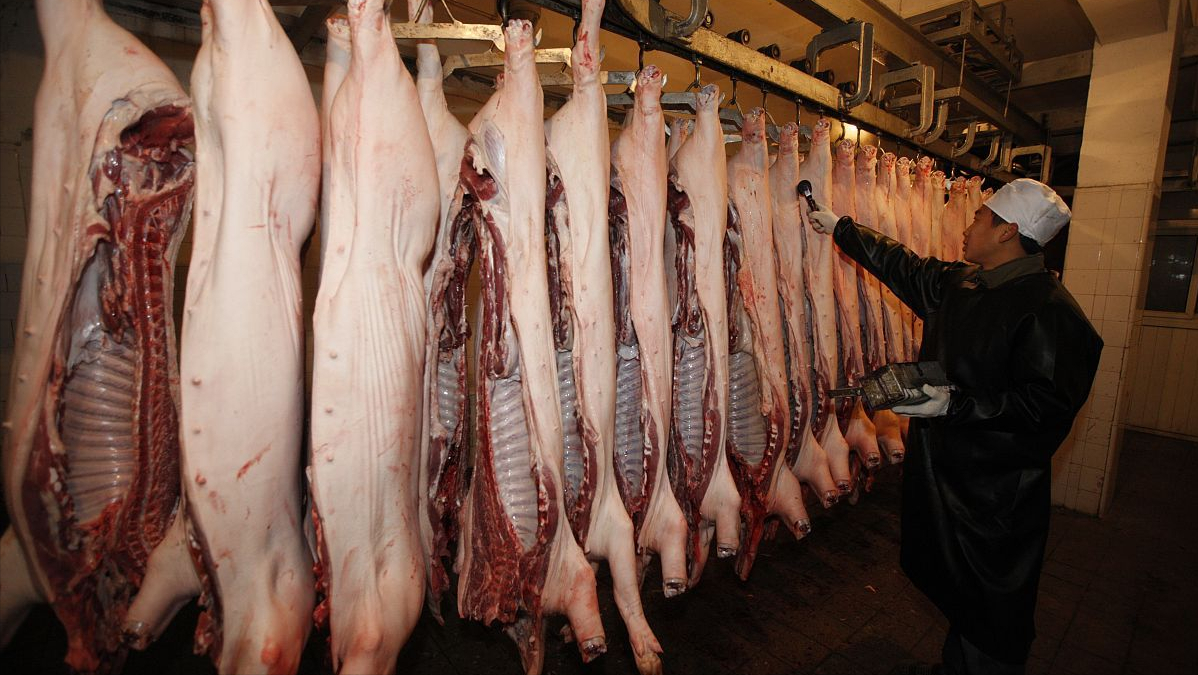 生猪产能释放，猪价跌至“地板线”，上涨周期将至？专家：没到底