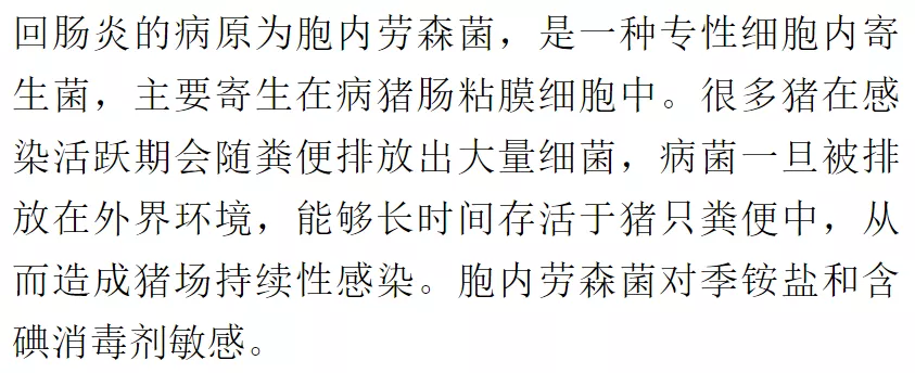 你了解猪回肠炎症状是什么吗要如何做好防治措施