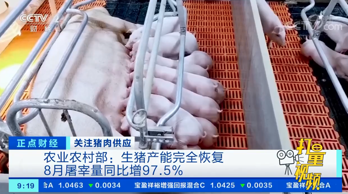 农业农村部：生猪产能完全恢复，8月屠宰量同比增97.5%