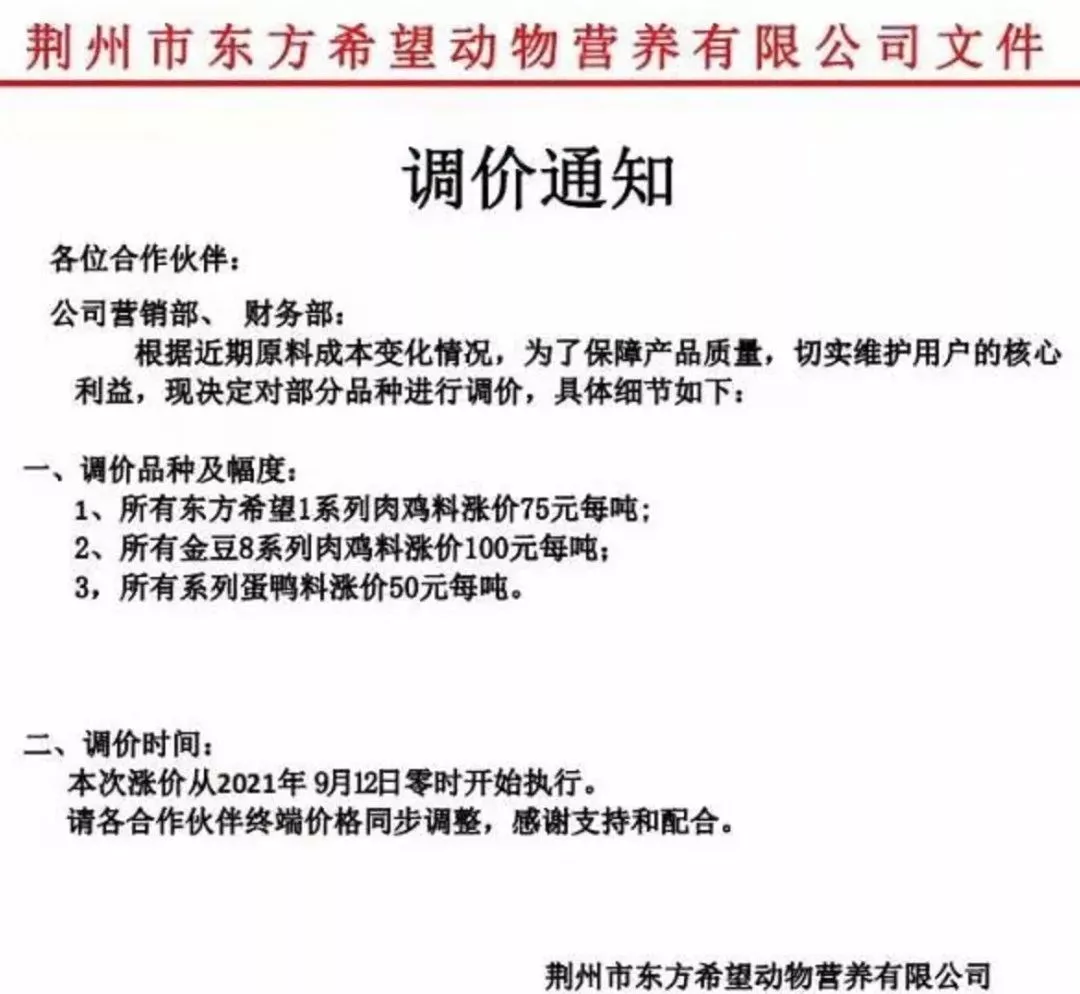 动物