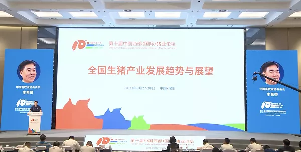 猪价屡创新低！李希荣：这轮猪价下跌要比以往长，猪企还想“挺一挺”