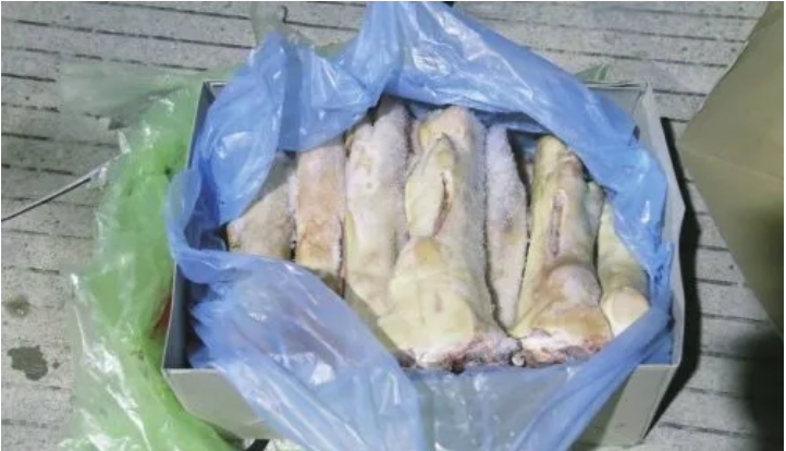 广东茂名查获2起涉嫌走私冻品案，查获300万元冻品，有猪蹄牛肚等冻品75吨