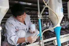 德康防非有道！防非是保猪的关键，灭鼠是防非的重点