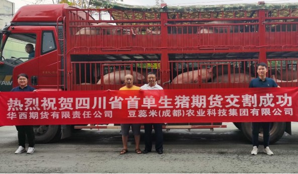 16吨！豆蕊米集团助力四川首单生猪期货实物交割圆满完成
