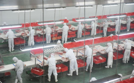 吉林省畜禽屠宰企业规范化建设取得阶段性成果，为“质量提升年活动”画上圆满句号