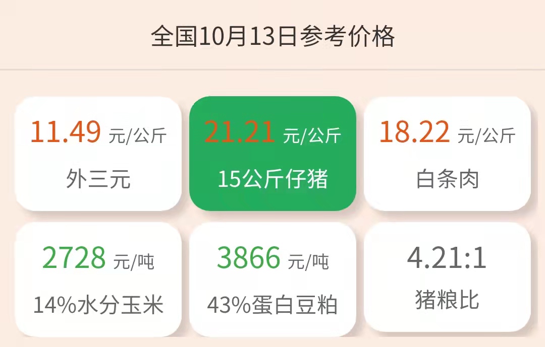 10月13日10公斤仔猪价格：猪价强势反弹领涨，带动仔猪价格上涨？