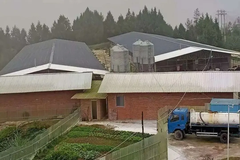 双胞胎集团：跨界养猪没压力，他只因做好这几点！