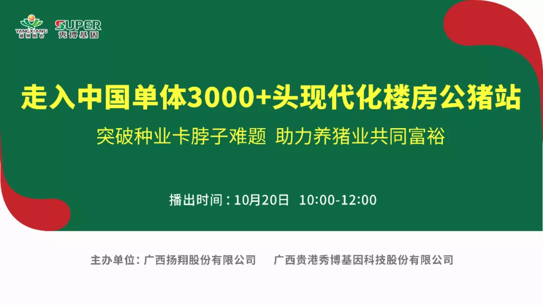重磅揭秘！河南秀博单体3000+头的现代楼房公猪站都有啥