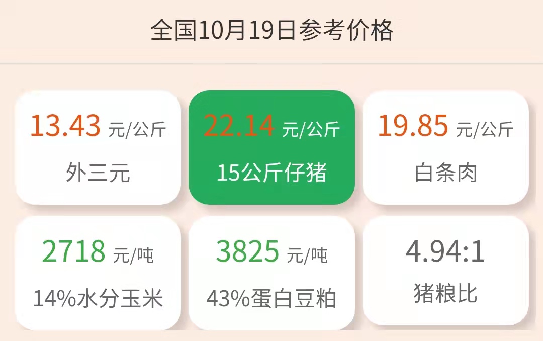 10月19日10公斤仔猪价格：猪价或再迎小高峰？仔猪价格震荡上行？