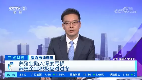 【央视报道】京基智农：回归精细化运营 积极应对行业严冬
