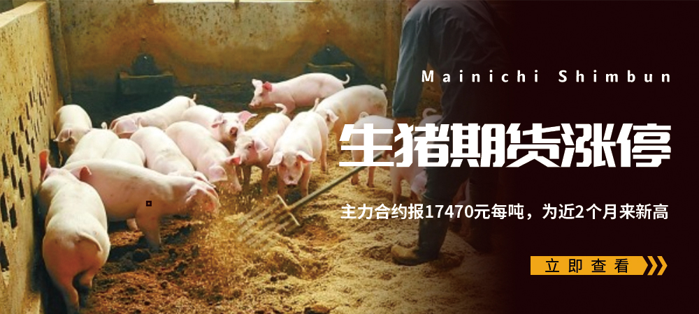 生猪期货涨停，主力合约报17470元每吨，为近2个月来新高