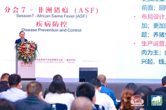 听课笔记 | 分会7：非洲猪瘟（ASF）疾病防控