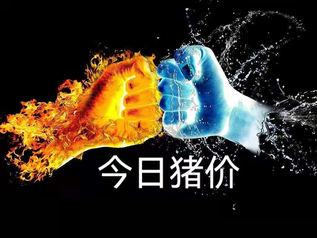 10月28日猪价：博弈激烈！东北率先开涨，猪价何时再迎小高峰？