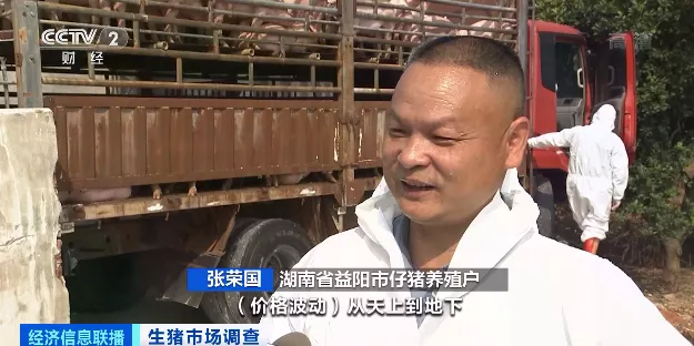 央视财经：多处龙头猪企猪场“烂尾”！8个月降价九成，仔猪150元/头都难卖！