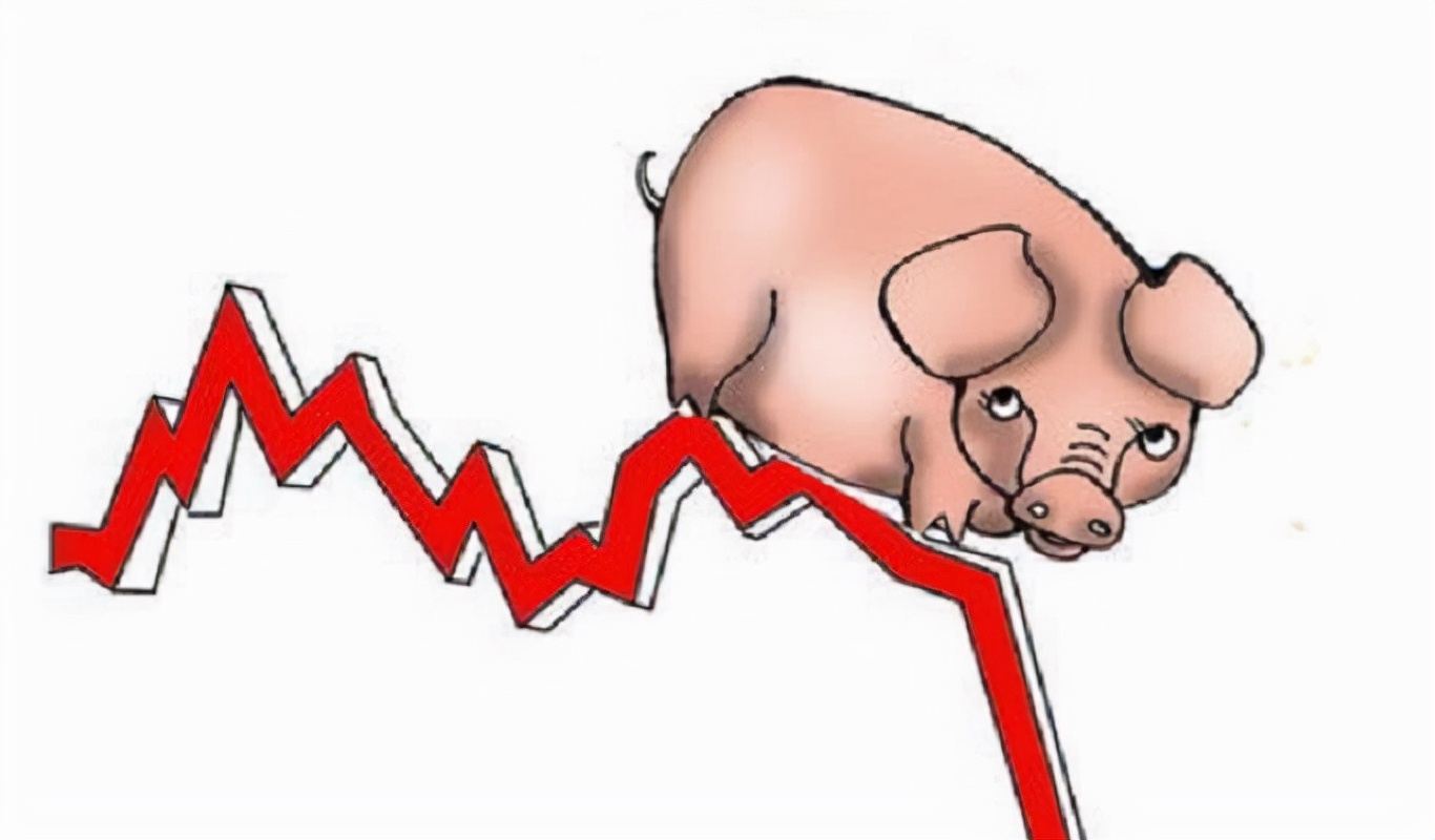 10月28日10公斤仔猪价格：猪价猛跌，仔猪泛滥，养猪还有钱赚吗？