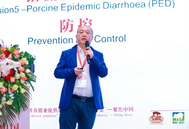 冯力：猪冠状病毒疫苗免疫可降低猪肠道组织损伤和降低病毒排毒量