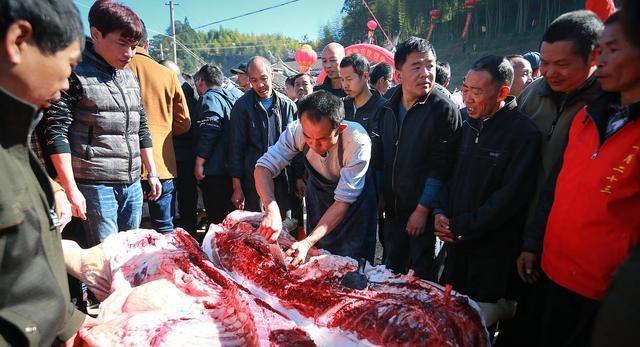 农村小伙卖猪肉，月入二万元，他是怎么做到的？
