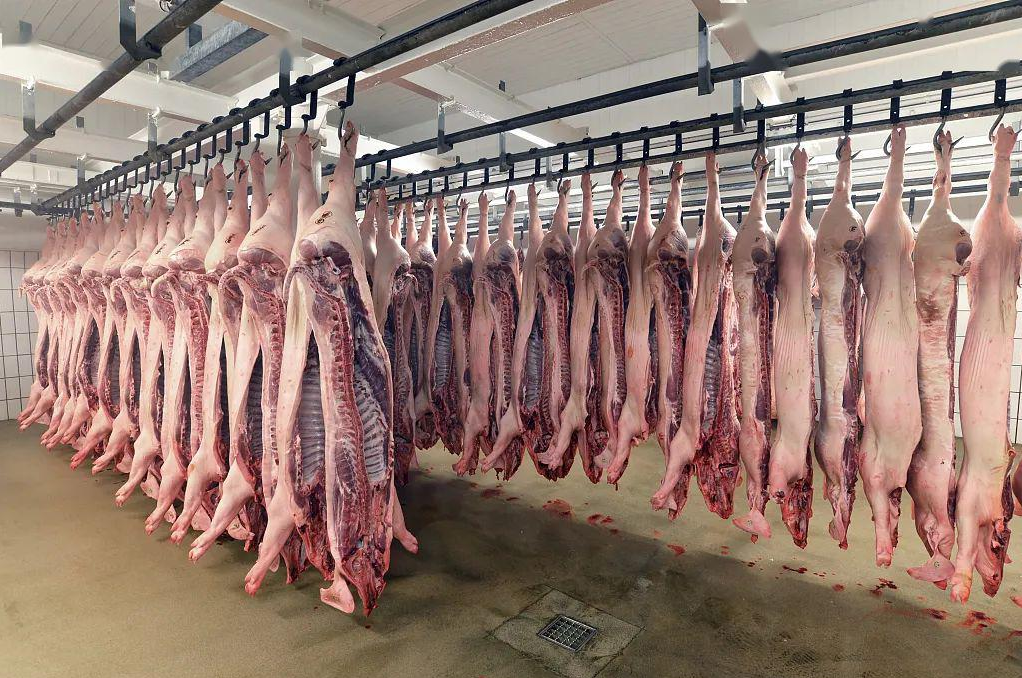 美国深处“肉荒”！6万只鸡安乐死、13000头猪被埋！人造肉逐渐吃香