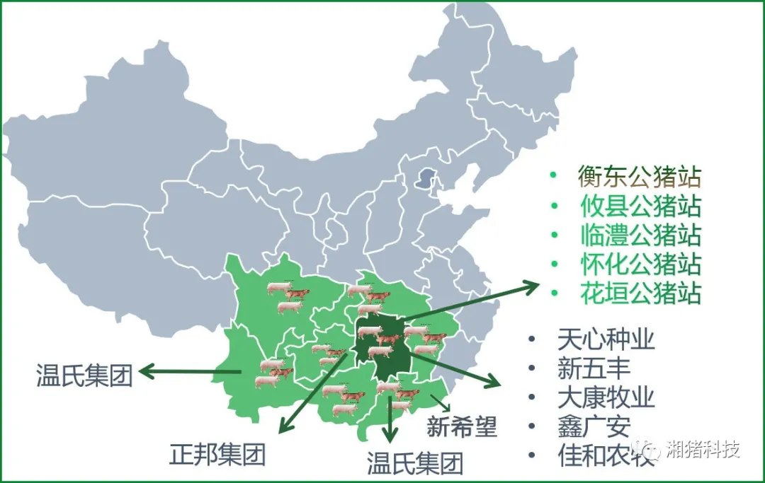 精液销售分布图