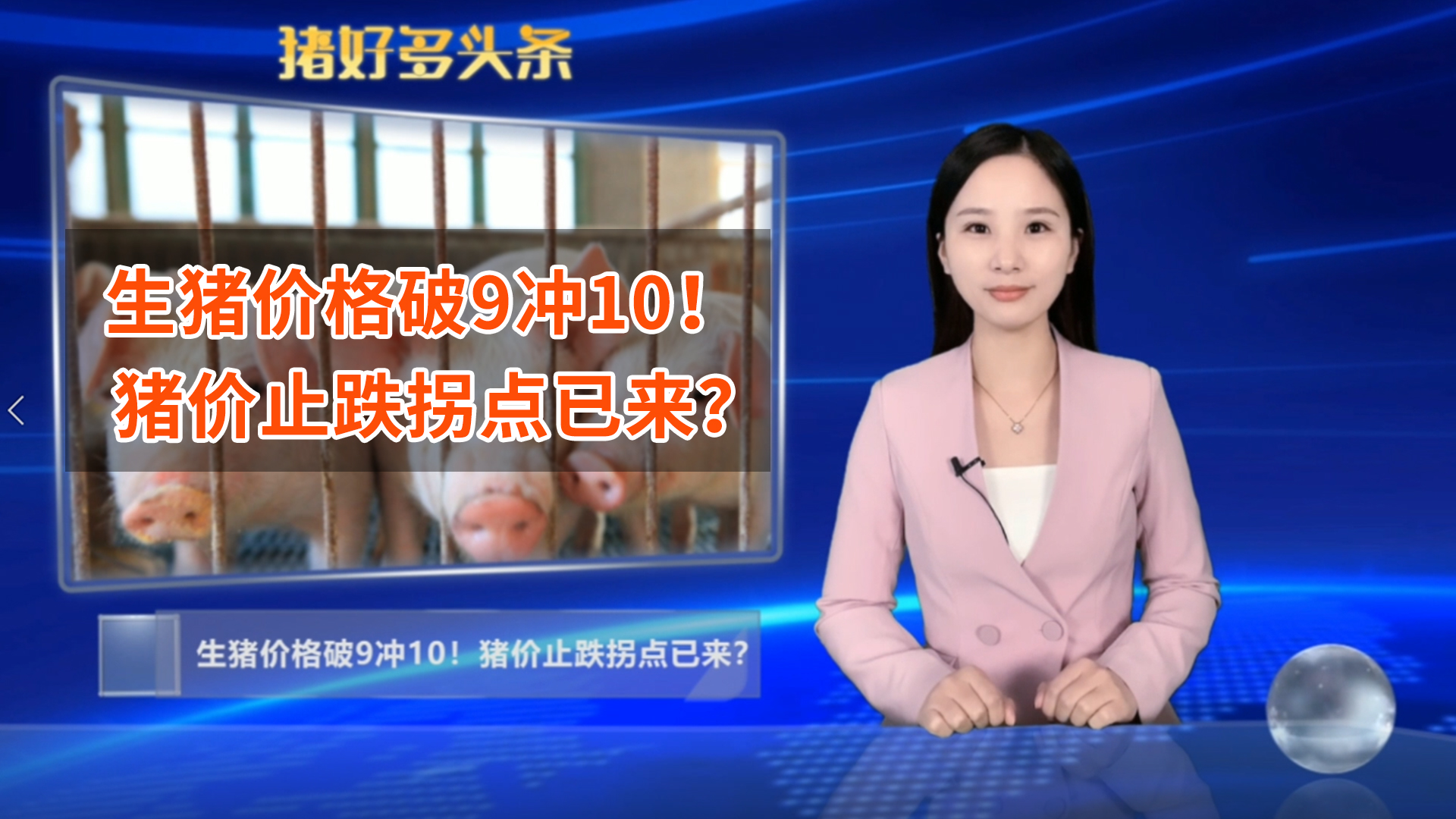 生猪价格破9冲10！猪价止跌拐点已来？专家：或很快回归常态 
