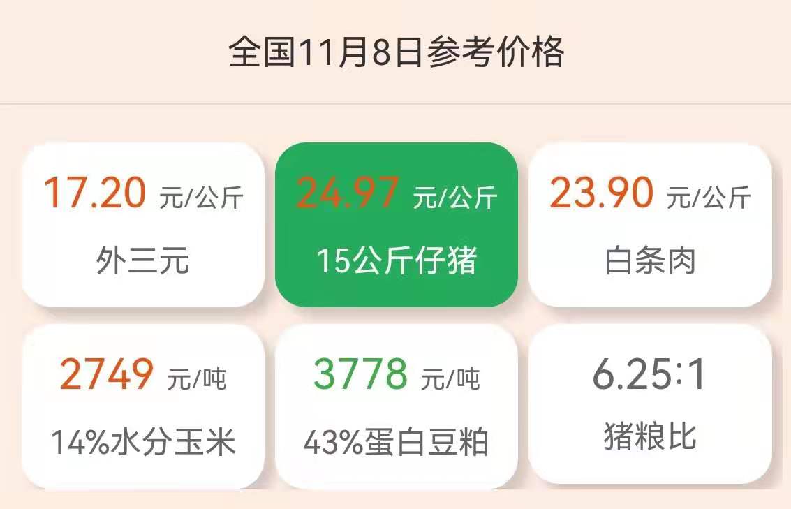 11月8日仔猪价格：仔猪要重蹈覆辙？现在补栏有风险？分析来了